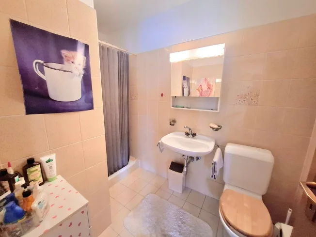 5.5 Zimmer Einfamilienhaus, 6500 Bellinzona