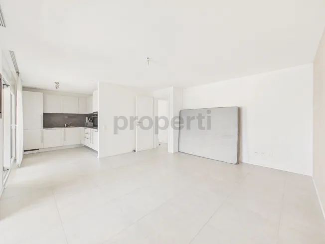 3.5 Zimmer Wohnung, 6512 Giubiasco