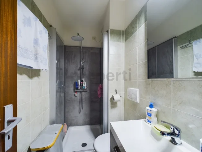 4.5 Zimmer Wohnung, 6987 Caslano