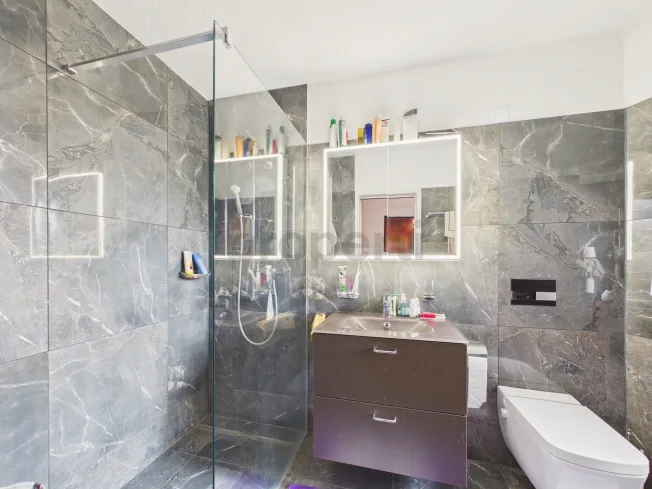 2.5 Zimmer Wohnung, 8050 Zürich