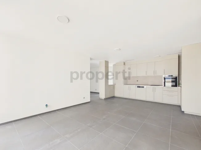 5.5 Zimmer Wohnung, 8152 Opfikon