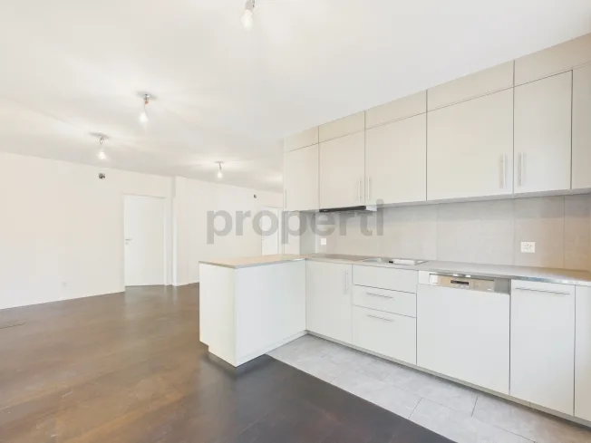 4.5 Zimmer Wohnung, 8152 Opfikon