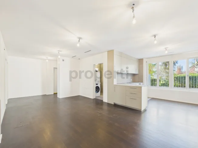 4.5 Zimmer Wohnung, 8152 Opfikon