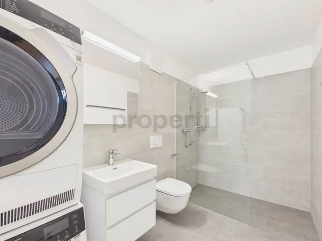 4.5 Zimmer Attikawohnung, 8623 Wetzikon ZH