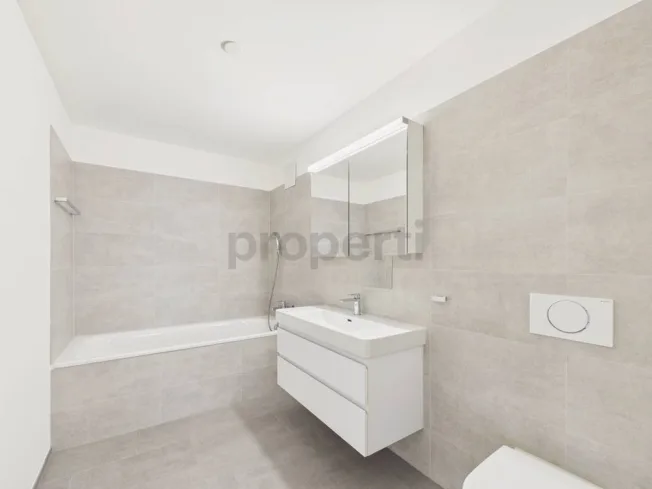 4.5 Zimmer Attikawohnung, 8623 Wetzikon ZH