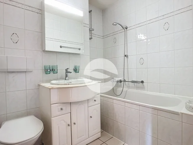 4 Zimmer Wohnung, 1296 Coppet