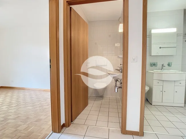 4 Zimmer Wohnung, 1296 Coppet