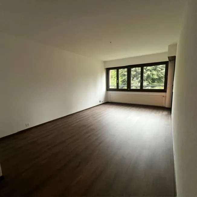 3 Zimmer Wohnung, 1950 Sion