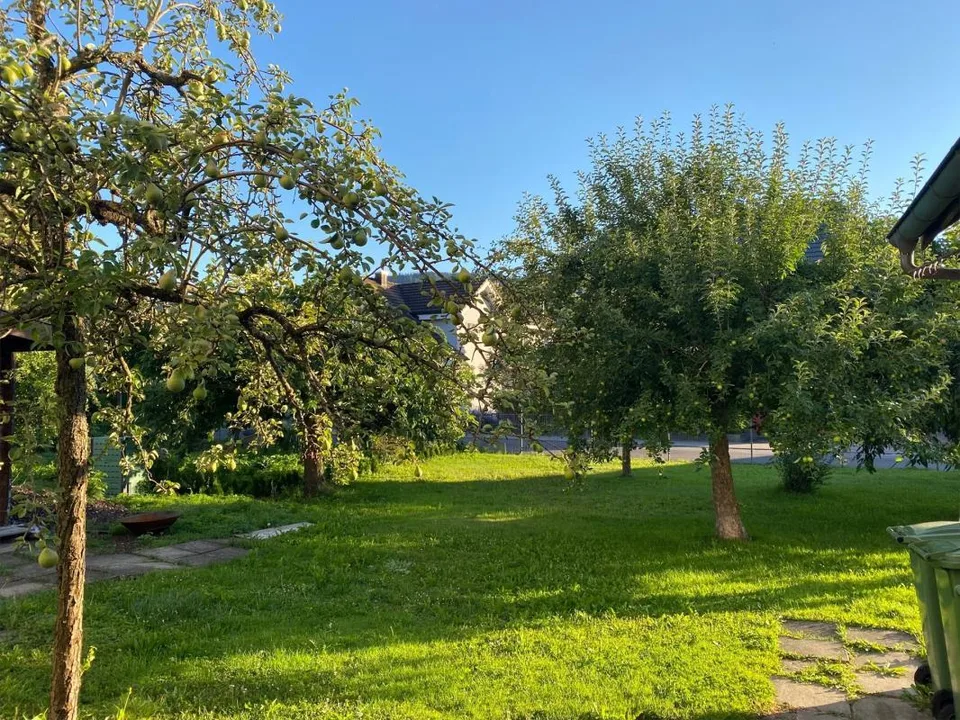 4.5 Zimmer Wohnung, 5734 Reinach AG