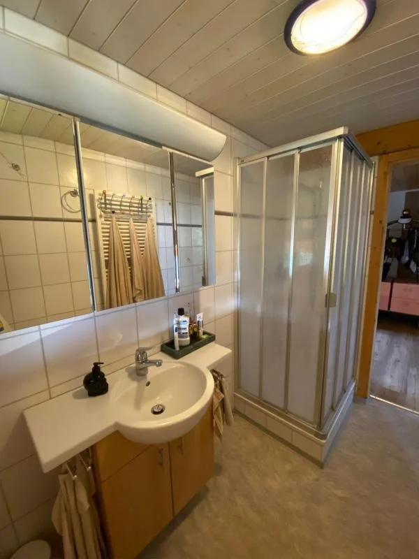 4.5 Zimmer Wohnung, 5734 Reinach AG