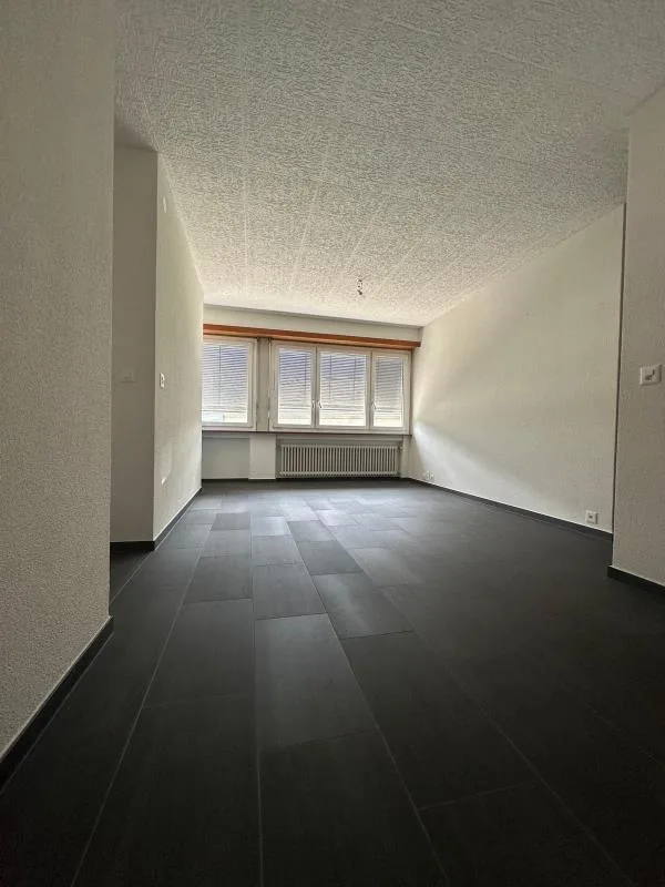 3.5 Zimmer Wohnung, 1950 Sion
