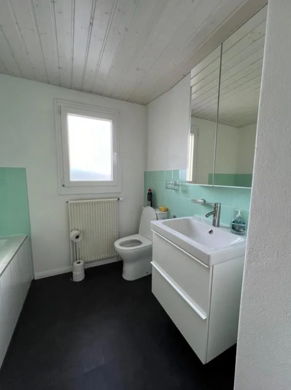 5 Zimmer Doppeleinfamilienhaus, 3366 Bettenhausen
