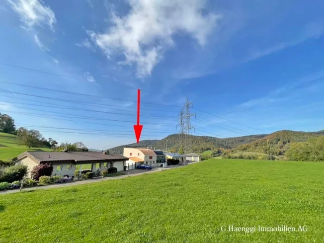 6.5 Zimmer Doppeleinfamilienhaus, 4415 Lausen
