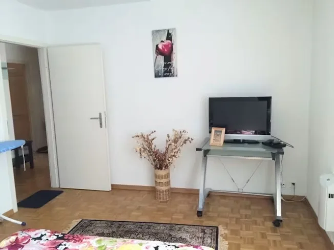 3.5 Zimmer möbl. Wohnobjekt, 8152 Glattbrugg