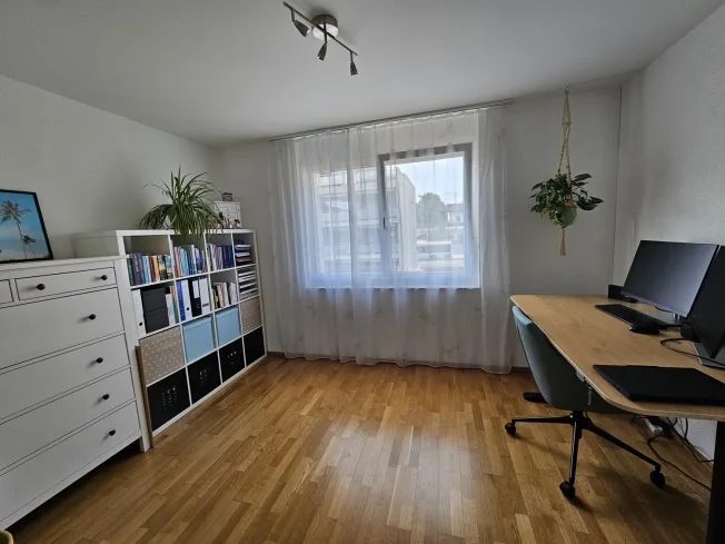 3 Zimmer Wohnung, 8360 Wallenwil