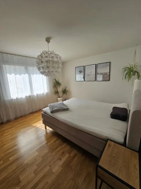 3 Zimmer Wohnung, 8360 Wallenwil