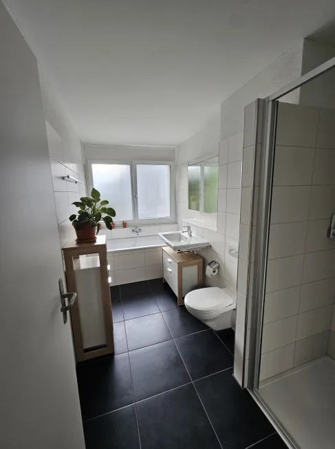 3 Zimmer Wohnung, 8360 Wallenwil