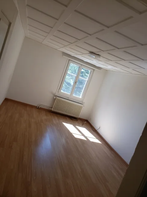 2.5 Zimmer Wohnung, 9427 Wolfhalden