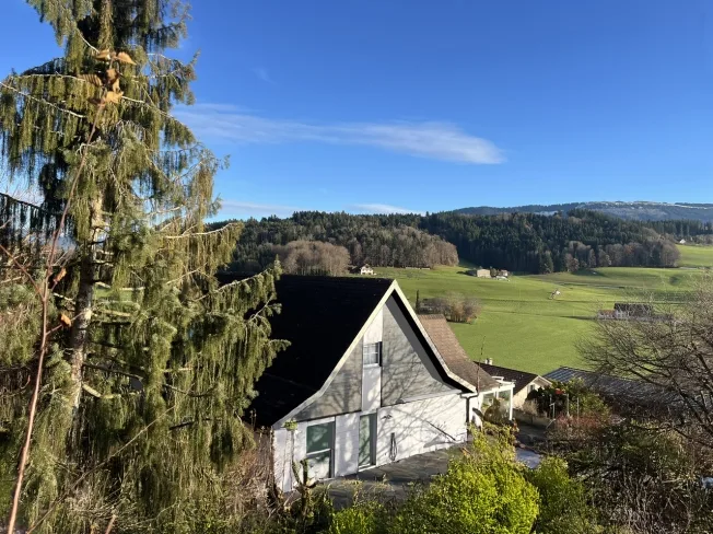 8.5 Zimmer Einfamilienhaus, 1700 Fribourg