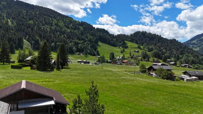2.5 Zimmer Attikawohnung, 1865 Les Diablerets