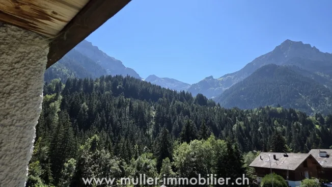 8.5 Zimmer Chalet, 1874 Champéry
