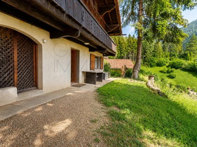 4.5 Zimmer Chalet, 1882 Gryon
