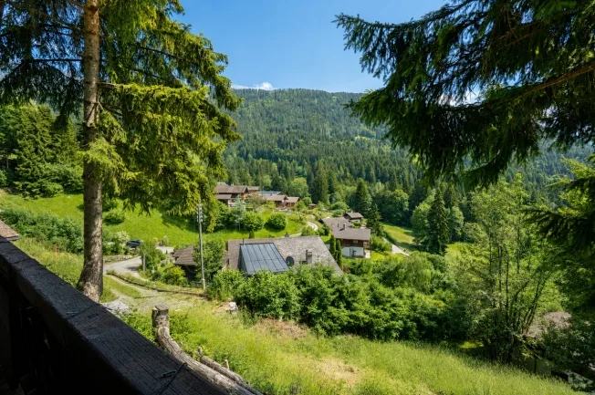4.5 Zimmer Chalet, 1882 Gryon