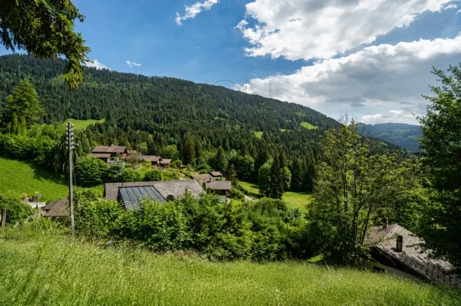 4.5 Zimmer Chalet, 1882 Gryon