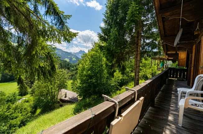 4.5 Zimmer Chalet, 1882 Gryon