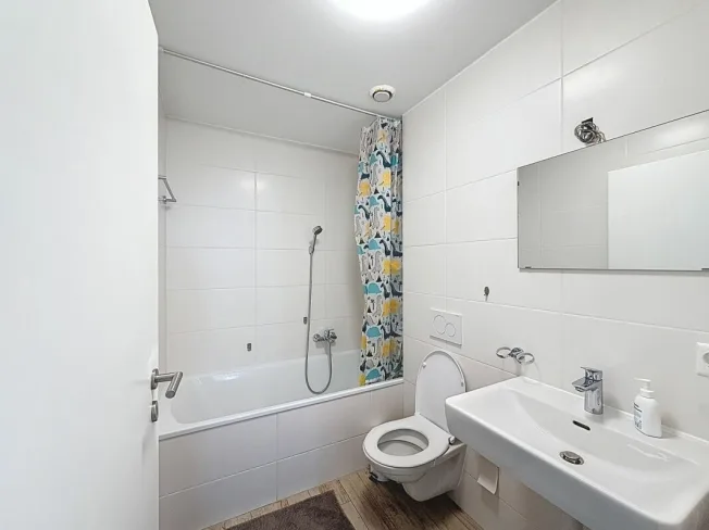 4.5 Zimmer Wohnung, 1957 Ardon