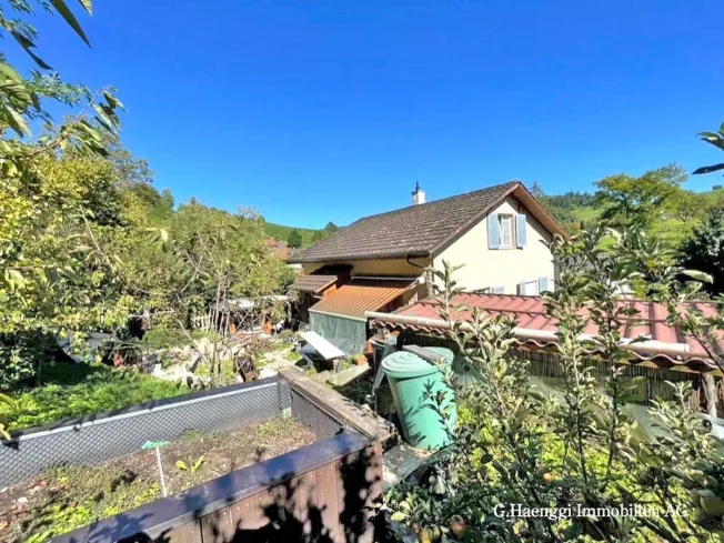5.5 Zimmer Einfamilienhaus, 4451 Wintersingen