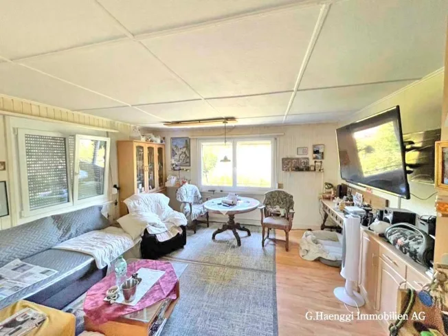5.5 Zimmer Einfamilienhaus, 4451 Wintersingen