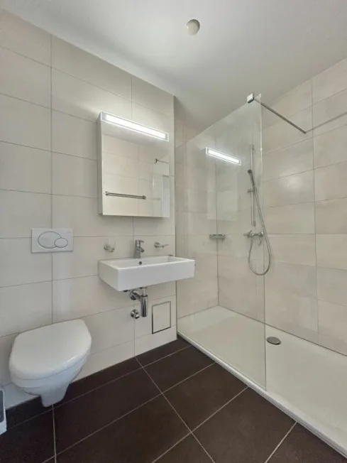 4.5 Zimmer Wohnung, 5070 Frick