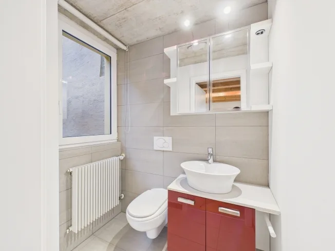 4.5 Zimmer Einfamilienhaus, 6815 Melide