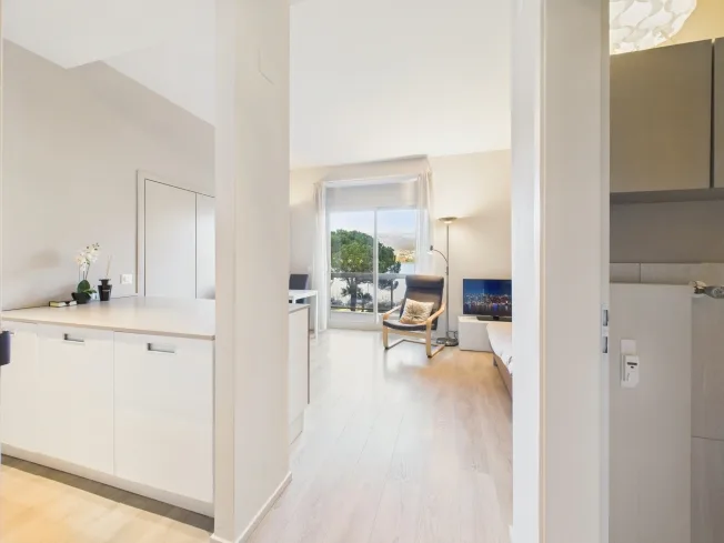 1.5 Zimmer Wohnung, 6900 Paradiso