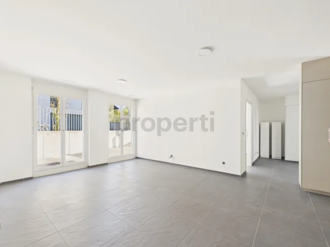 5.5 Zimmer Wohnung, 8152 Opfikon