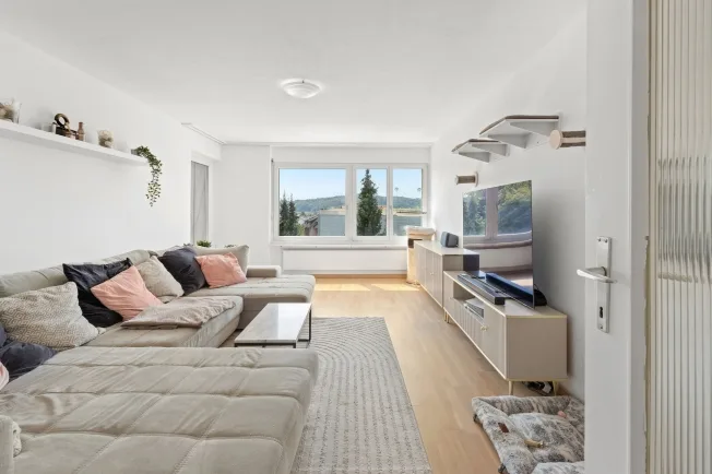 4.5 Zimmer Wohnung, 8222 Beringen