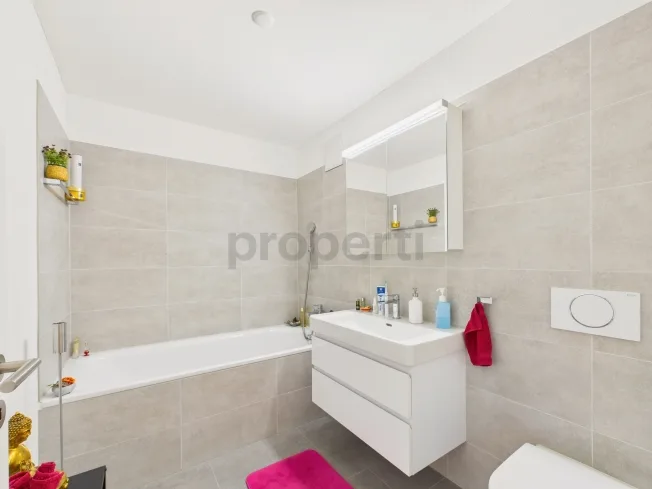 2.5 Zimmer Attikawohnung, 8623 Wetzikon ZH