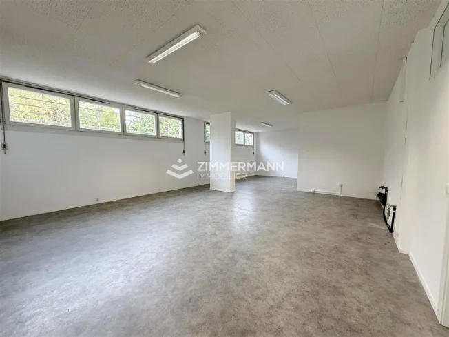 Wohnung, 1224 Chêne-Bougeries