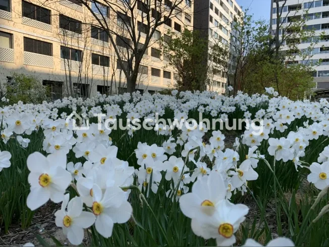 2.5 Zimmer Wohnung in Zürich – Foto 11 von 14