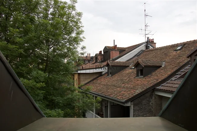 2 Zimmer möbl. Wohnobjekt, 1227 Carouge GE