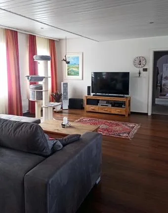 7 Zimmer Wohnung, 9063 Stein AR