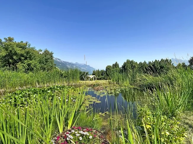 4.5 Zimmer Villa in Monthey – photo 8 of 13