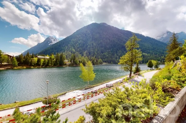 3 Zimmer Wohnung in Champex-Lac – Foto 3 von 12