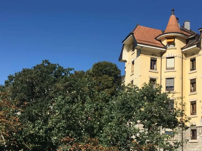 5 Zimmer Attikawohnung in Genève – foto 3 di 12