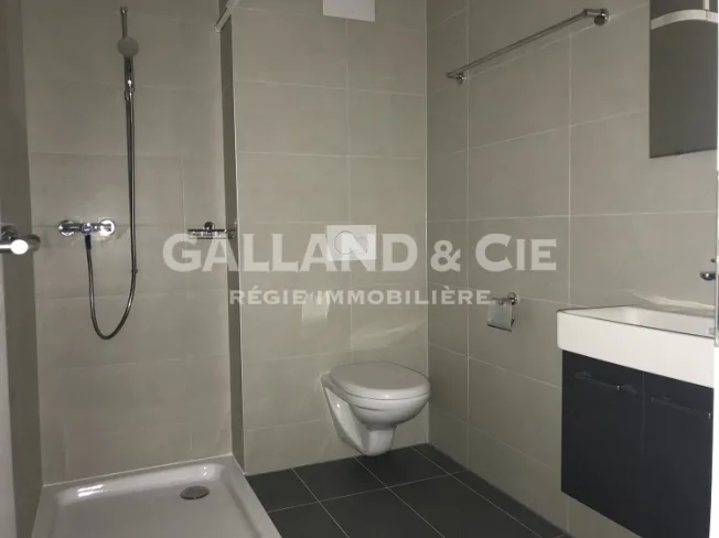 4.5 Zimmer Wohnung in Chevilly – Foto 2 von 7