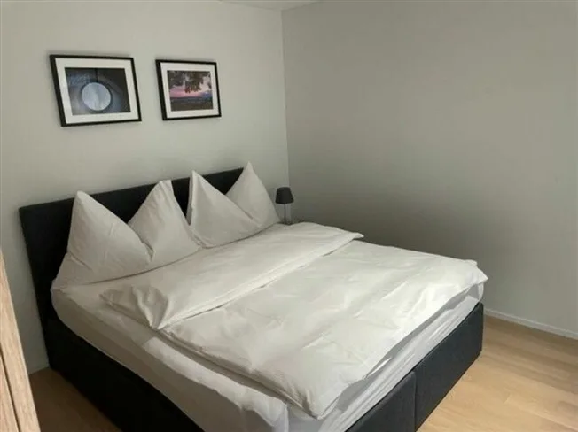 2 Zimmer möbl. Wohnobjekt in Schlieren – Foto 6 von 11