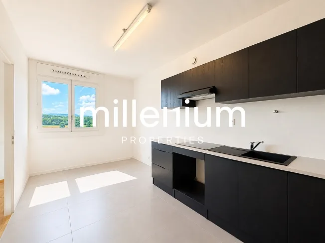 7 Zimmer Wohnung in Meyrin – foto 2 di 13