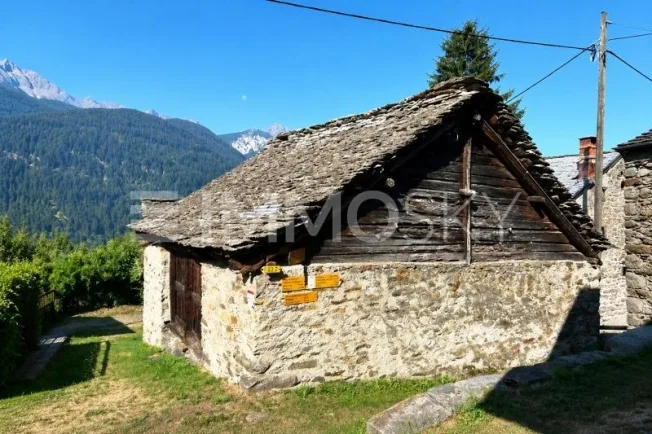 L'occasione da non perdere – Foto 3 von 4