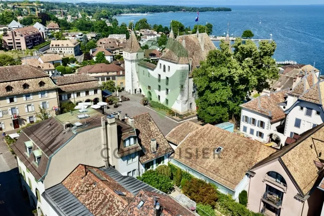 7 Zimmer Einfamilienhaus in Nyon – foto 15 di 17